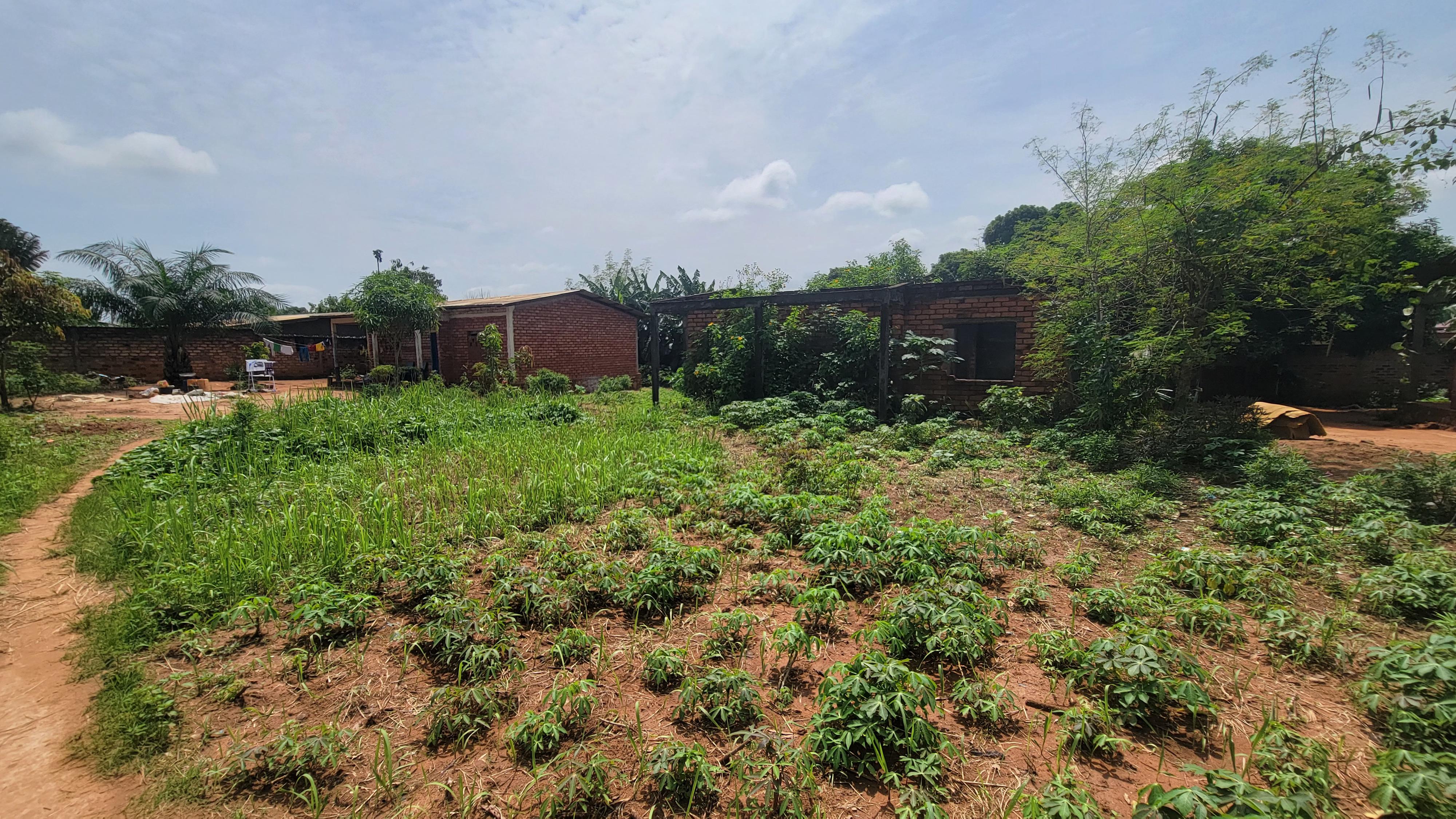 Maisons à Vendre à Gbangouma