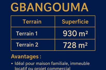 Maisons à Vendre à Gbangouma